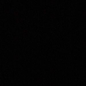 Meet your Posher, Carleigh